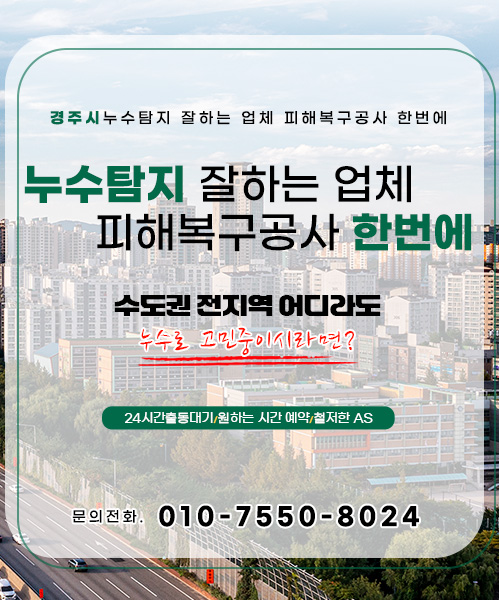 누수탐지 잘하는 업체 피해복구공사 한번에 모바일 비주얼 0